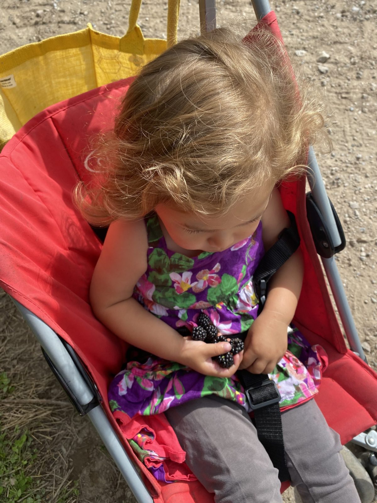 画像に alt 属性が指定されていません。ファイル名: IMG_5817-1-1200x1600.jpeg